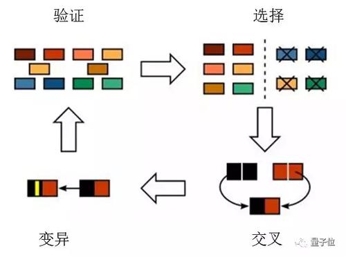 最佳世界杯下注策略与免费服务解析